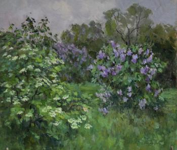 Viburnum and lilac in the garden. Serebrennikova Larisa