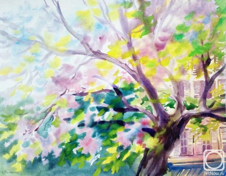 �������. ���������� ���������. �������� ������