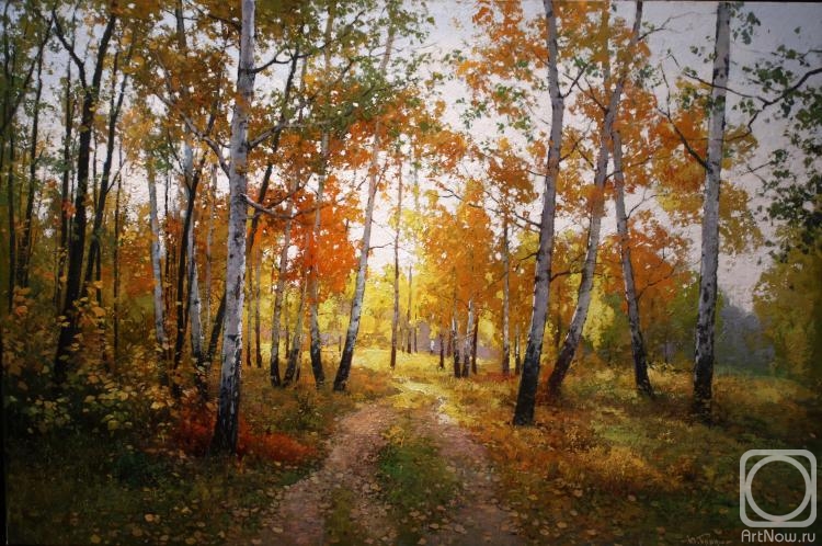Pryadko Yuriy. The paths of autumn. Birch trees