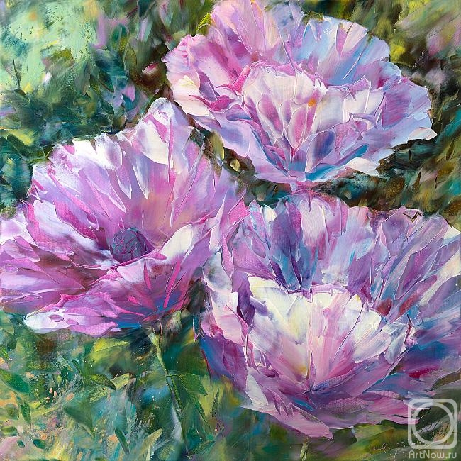 ������� ������ �� ������. ������� ���������. ������� ����