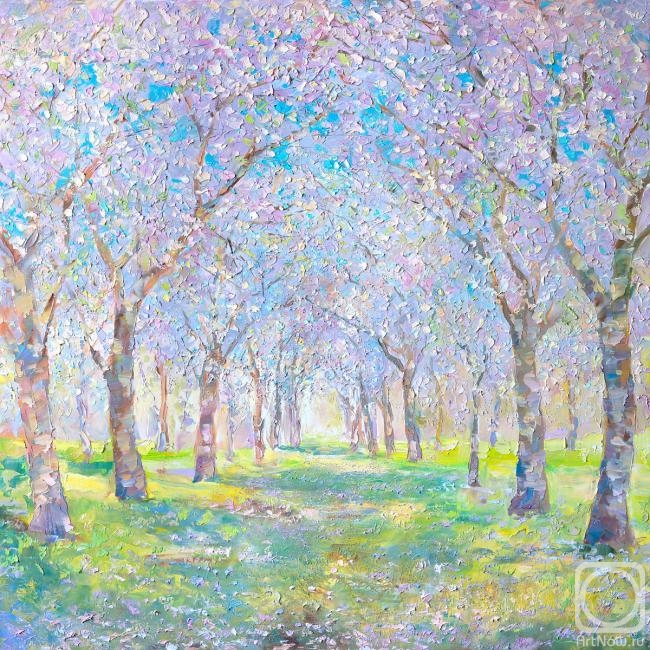 ������� ������ �� ������. ������� ���������. �������� ���