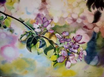 Untitled. Kalinina Nadezhda