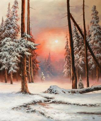 Lyamin Nikolay . In Winter forest