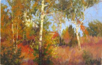 Colors of autumn. Voronov Vladimir