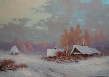 Houses near forest. Winter day