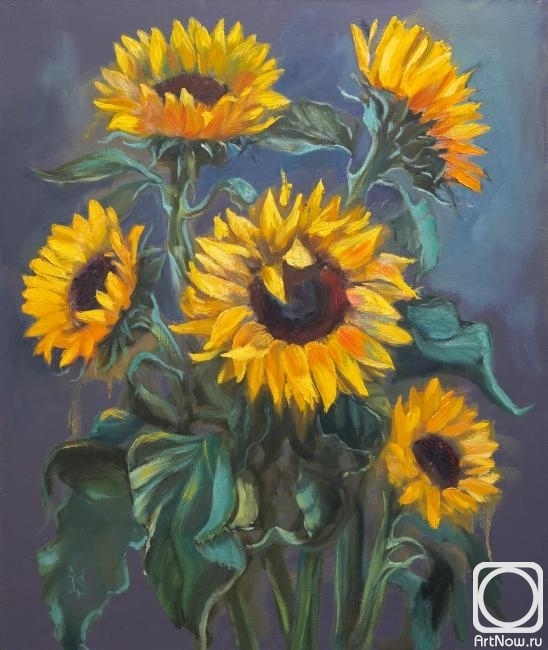 Sergeyeva Irina. Sunflowers