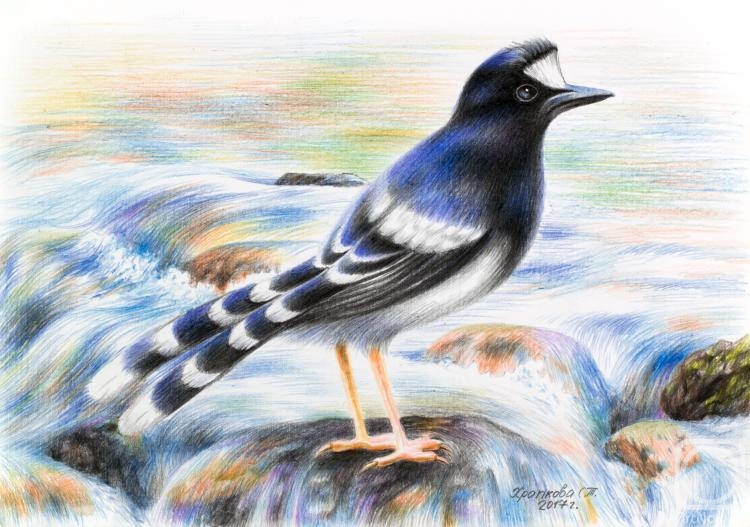 �������. �������� ��������. �����������