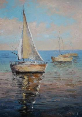 Sailfish. Semyonov Aleksandr