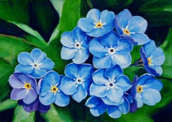 Forget-me-nots