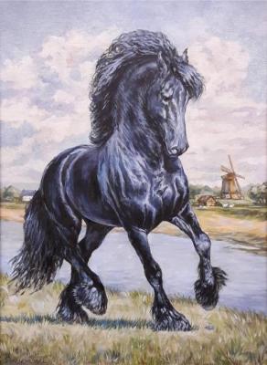 ׸���� ���������. ����������� �����