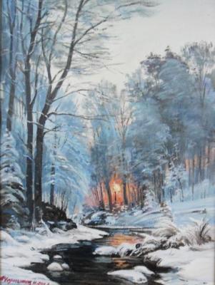 Evening in the winter forest