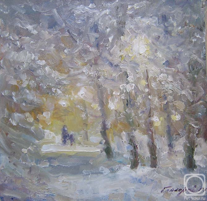 Gaiderov Michail. In the Winter Park