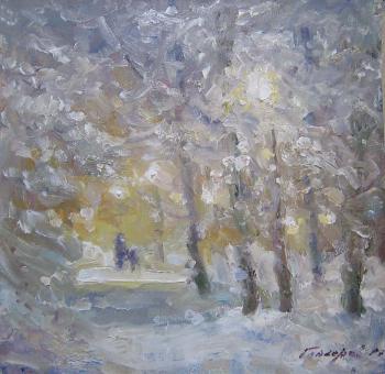 In the Winter Park. Gaiderov Michail