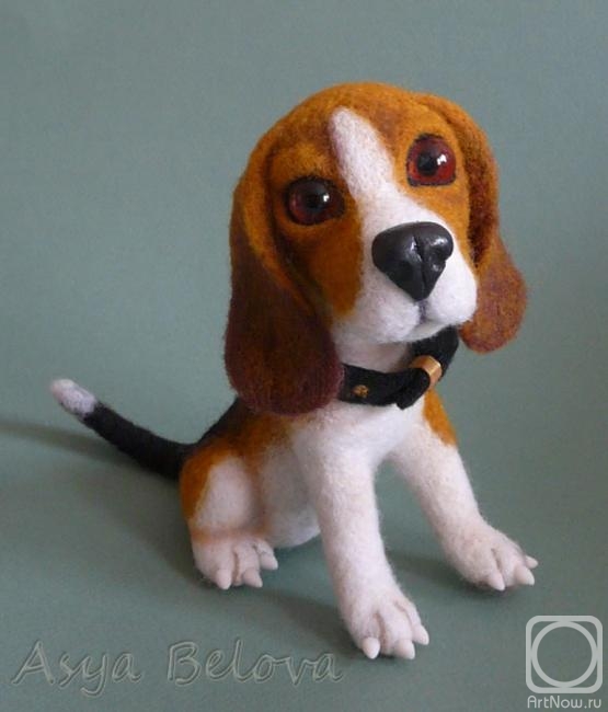 Belova Asya. Beagle (other angle)