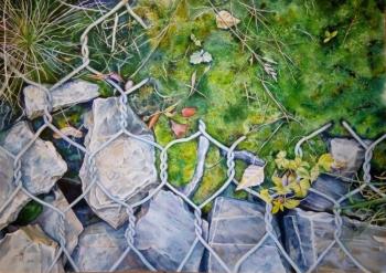 ������� ���� ���������