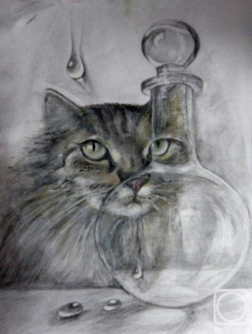 �������. ������ �������. ������ ������