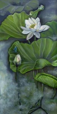 Lotuses. Zozoulia Maria