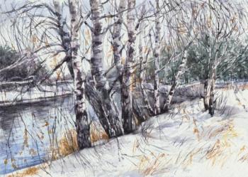 Birch river. Kozlova Mariya