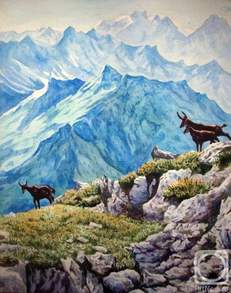 �������. ������� �������. ����