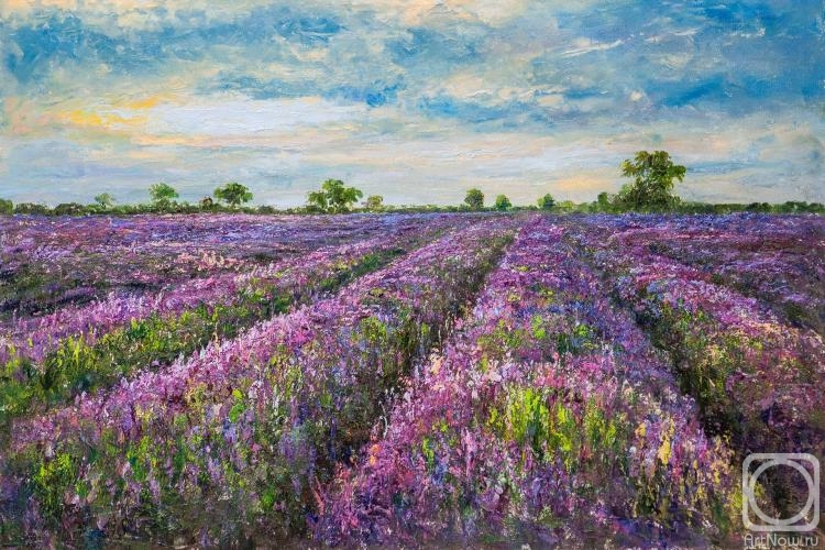 Vlodarchik Andjei. Lavender fields of Provence