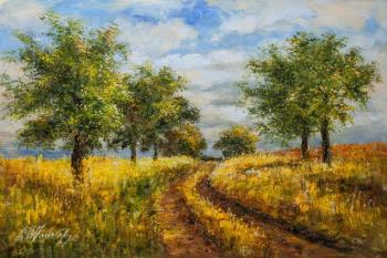 The road among the fields. Vlodarchik Andjei