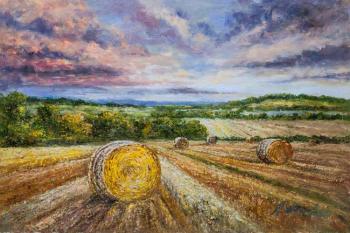 Fields after the harvest. Vlodarchik Andjei