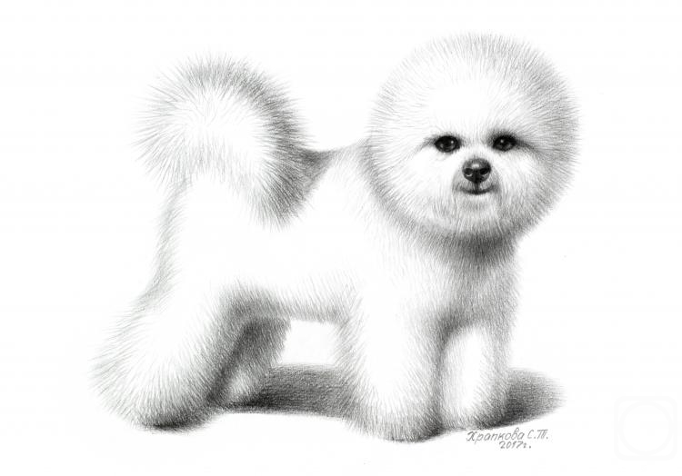 �������. �������� ��������. ����� �����