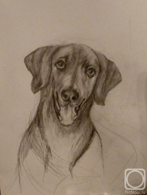 �������. ������ �������. �������� ���-��-��