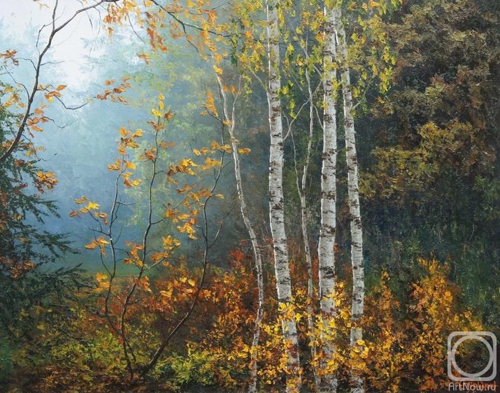 ������� ������ �� ������. �������� �������. �����