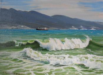 Chernyshev Andrei Vladimirovich. Waves in Tsemes Bay