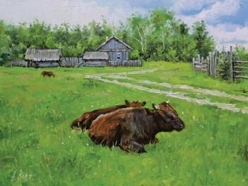 Summer day, cows. Volya Alexander