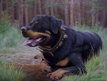 ������� �������� ������