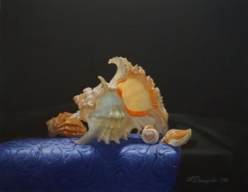 Sea shell. Demidova Aleksandra