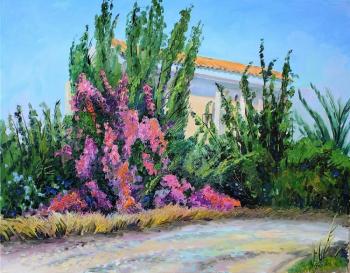 Funny paint of Cyprus (Bougenville). Stepanov Pavel