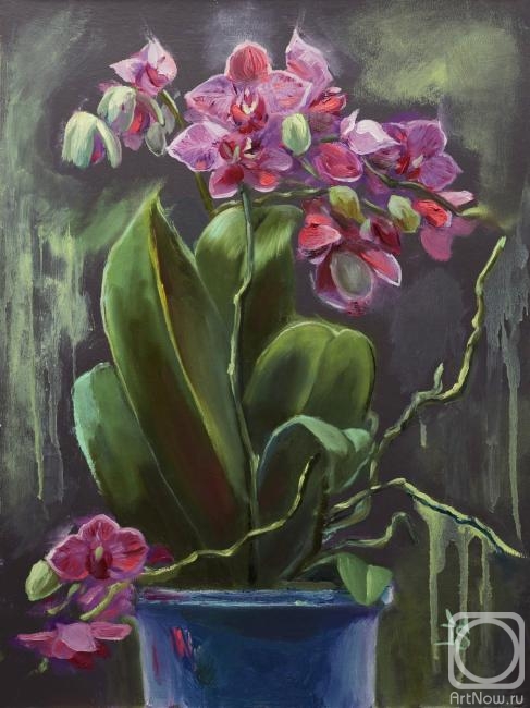 Sergeyeva Irina. The Orchids form Danila