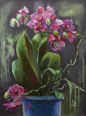 The Orchids form Danila (Dark Green). Sergeyeva Irina