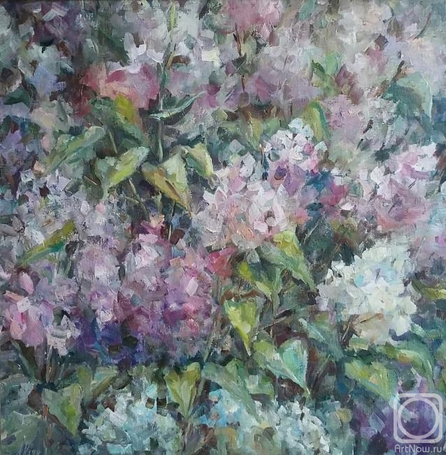 ������� ������ �� ������. ���� �����. ������