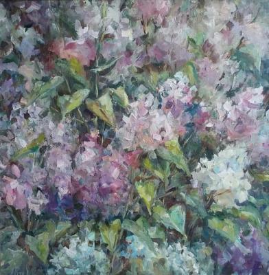 ������� ��������