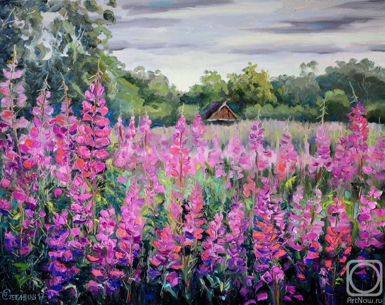 Stepanov Pavel. In the thickets of willow-herb. Kamchatka