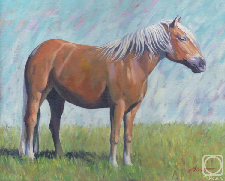 Urazayev Mirat. Horse