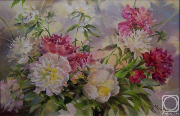 ������� ������ �� ������. ������ �������. ����� ������