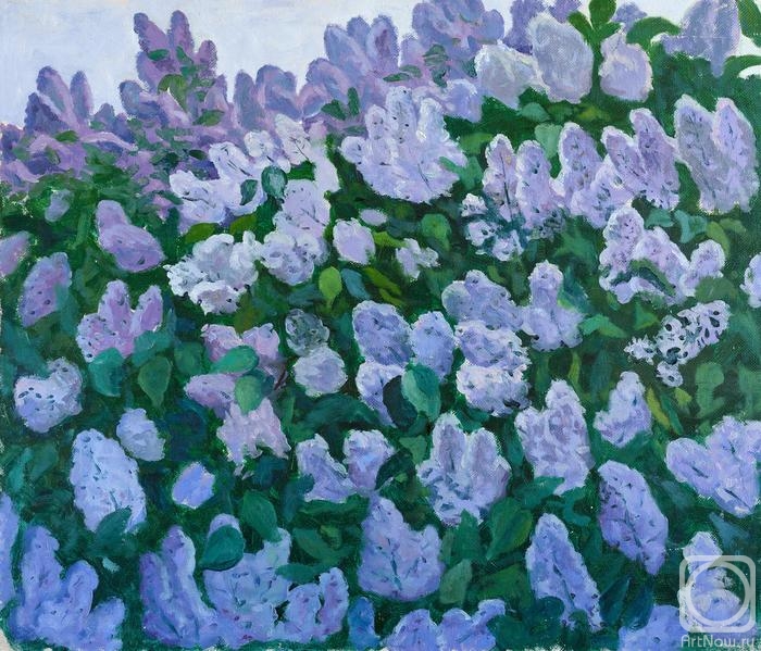 ������� ������ �� ������. �� ������. ������ ������