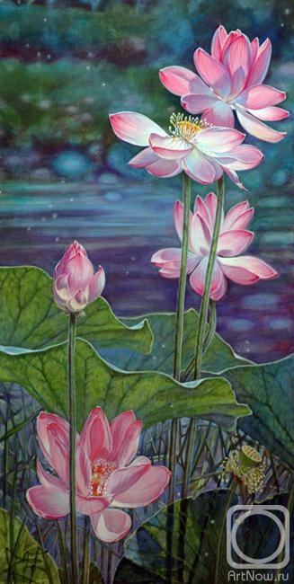 Kosareva Elena. Lotus blooms