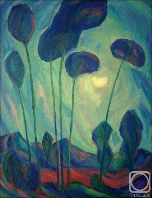 Ivanova Ekaterina. Night symphony