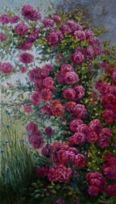 Climbing rose (Pink Bush). Bakaeva Yulia