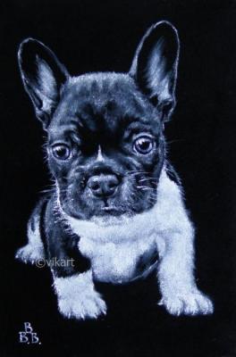 ������ ����. ��������� ��������