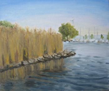 ������� �������� ����