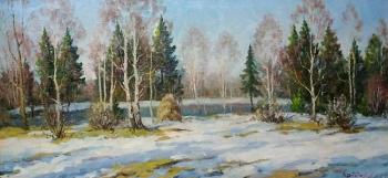 Spring thawed patches. Fedorenkov Yury
