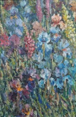 Irises in the garden