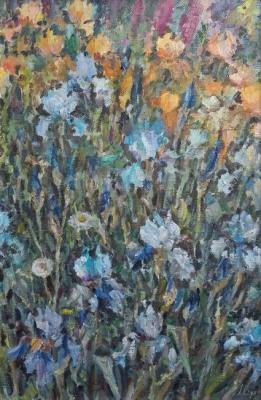 Irises in the garden